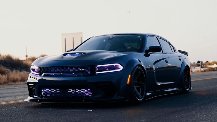 Có cao nhân nào nhận xét xem con ngựa này thế nào không?