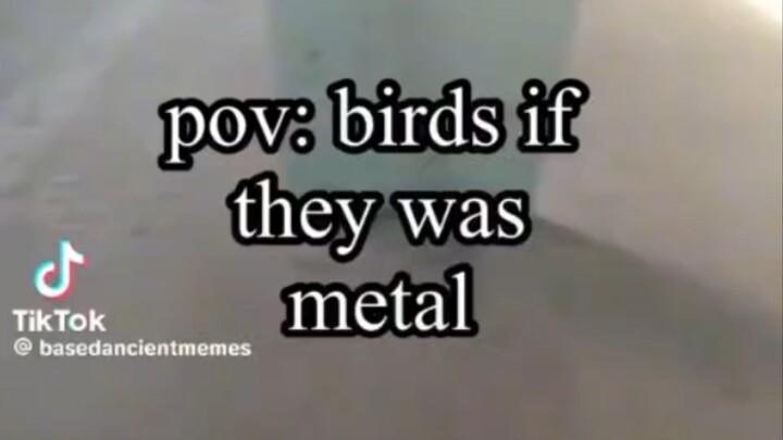birds if they for some reason gain the ability to do projection sorcery