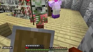Hành vi khó hiểu nhất của Minecraft!