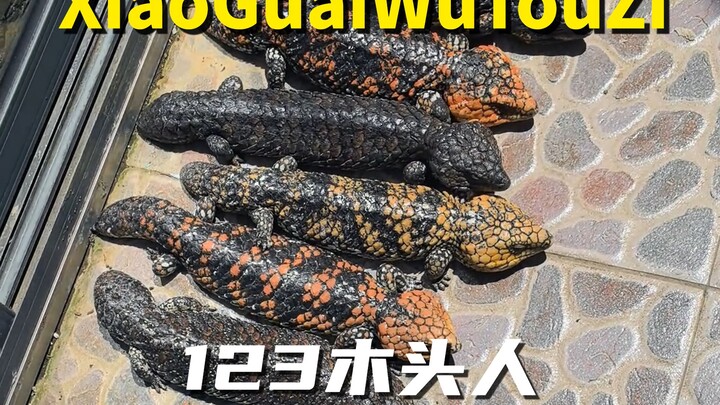 Nói đứng yên là phải đứng yên!