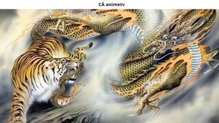 Top 10 giả thuyết có thể trở thành sự thật trong One Piece _ 4