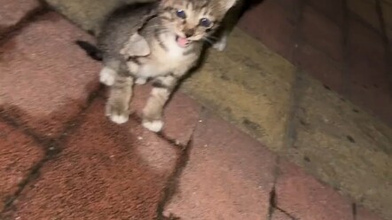 ไม่ใช่ทุกคนมีจิตสำนึก รู้สึกเหมือนถูกสร้างขึ้นมา