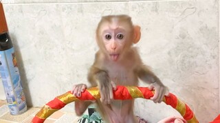 So Cute Baby Mano Very Fast Growing, Now He Can't Walk & Play Well