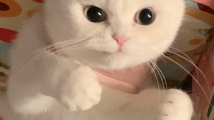 Really spicy and sour