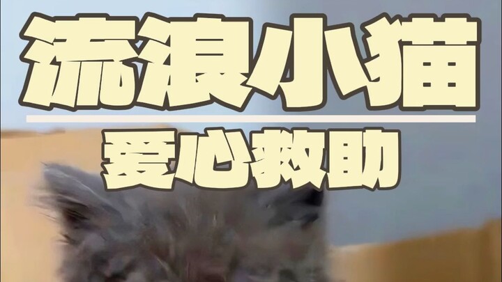 不救了！下次一定不救了！