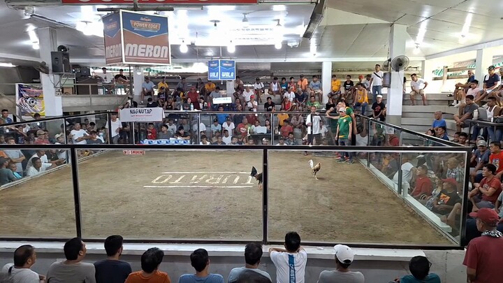 Nagnutap Gamefarm sample fight AEJ Sweater Bloodline