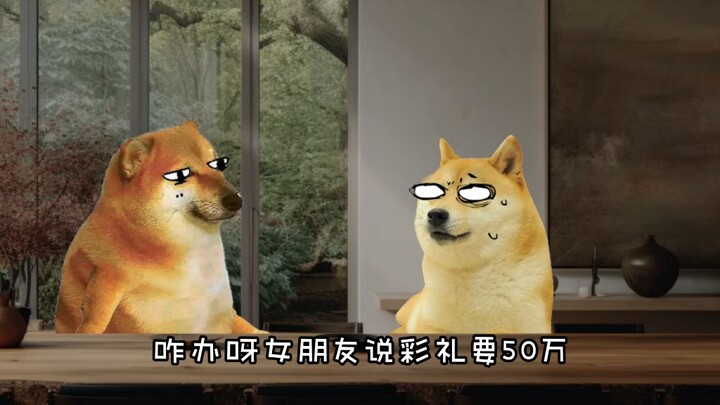 女朋友结婚要50万彩礼，不然就不结婚，咋办啊？