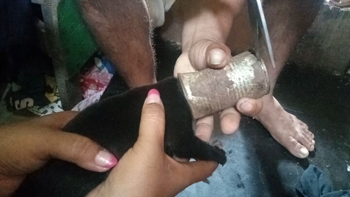rescuingy puppy .. na stock  Ang ulo sa lata....