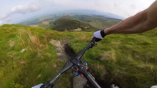 晚睡的鸟儿有米吃