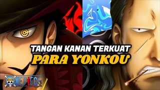 JADI !!! MARI KITA URUTKAN MEREKA SEMUA BERDASARKAN KEKUATAN MEREKA ( ONEPIECE HD1080p )