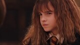 【Storyr 丨 Fantastic Beasts & Harry Potter】 Chúng ta đang xem gì khi xem "History of Magic"