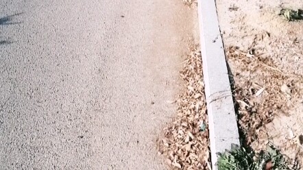 สอบวิชาสามตกอีกแล้ว แถมยังติดอยู่กับก้อนหินอีก ยิ่งทำให้อารมณ์แย่เข้าไปใหญ่