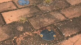 买电动车一定要买刹车好的，不然……