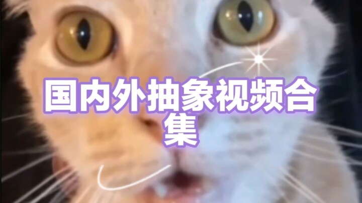⚡️Collection of abstract videos from China and abroad ⚡️ p42 A child’s talent is determined from a y