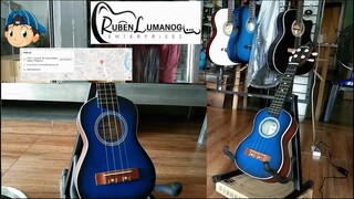 Ukulele Ordinary Matt Finish Blue