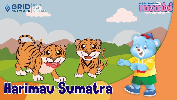 Belajar dan Mengenal Hewan Harimau Sumatra
