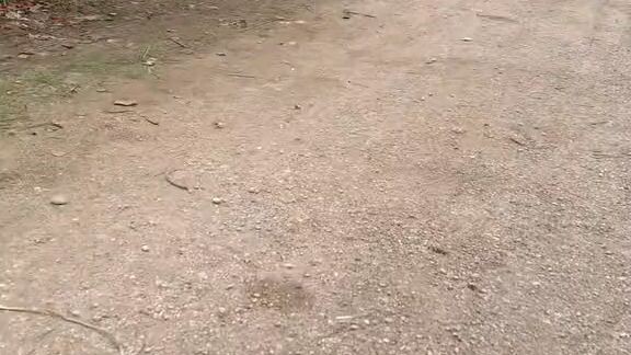gangster kampung 😭