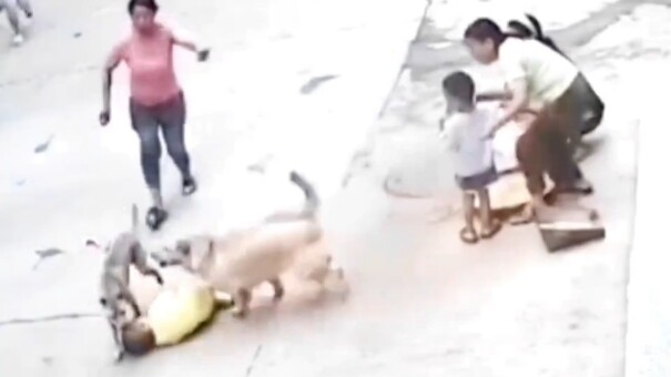 Từ nay bữa nào cũng có thịt