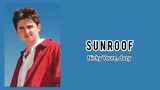 Nicky Youre, dazy - Sunroof [Lyrics]