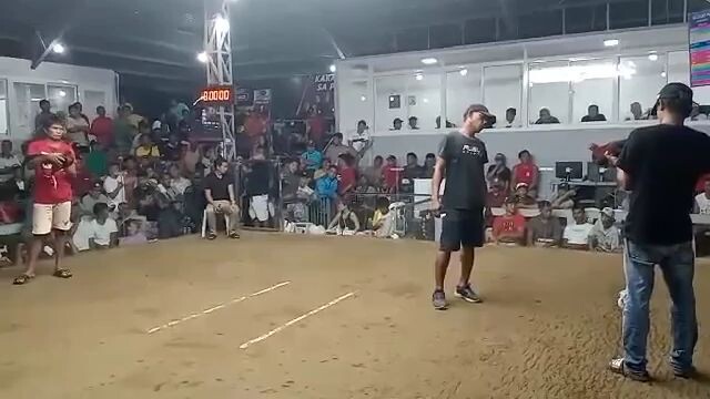 stag derby winner  2nd fight hari ng ilocandia IV STA Maria ilocos sur last oct.23 2023