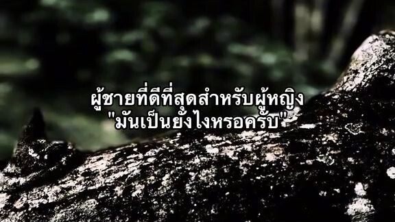 บอกหน่วย