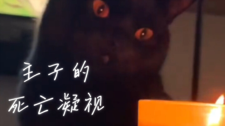 The Master's Death Gaze