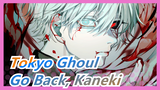 [Tokyo Ghoul] Hideyoshi: Go Back, Kaneki