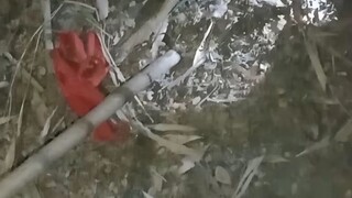 সাপকে মারলাম 😭😎#sad reels# song #contrys#funne#subol #kumar#😭😁