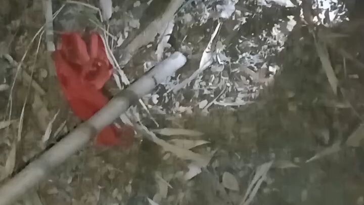 সাপকে মারলাম 😭😎#sad reels# song #contrys#funne#subol #kumar#😭😁