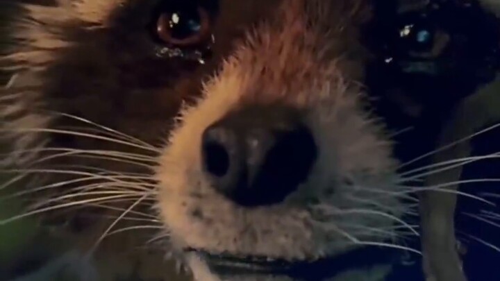 Help... I'm starting to dread watching Guardians of the Galaxy Vol. 3
