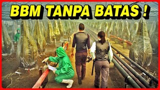 DI MASA DEPAN, MANUSIA MENEMUKAN BBM TANPA BATAS !! DARI TANAMAN PEMAKAN MANUSIA !!