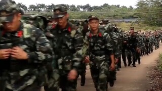 Người lính: Có vẻ như có một sinh vật nhỏ bé đáng kinh ngạc nào đó đã lẻn vào đội huấn luyện của chú
