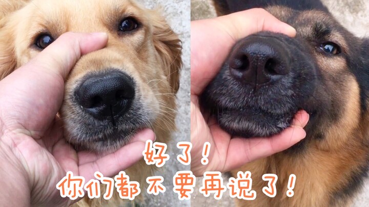 What will dogs do when you hold their mouths?