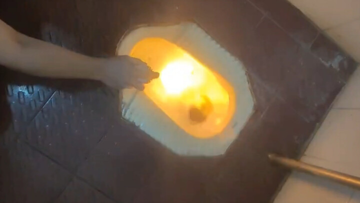给蟑螂喷消光（dog）