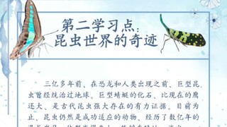 弟二学习点 จุดศึกษาที่2