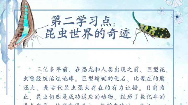 弟二学习点 จุดศึกษาที่2