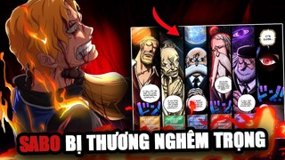 【Phân Tích Chap 1086】SABO Trọng Thương! Ngũ Lão Tinh Quá Mạnh, Vũ Khí Của IMU!
