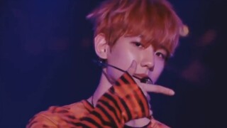 【EXO】هذه هي الأغنية التي قال المغني الأصلي إنها بلا رقصات، وقد أثارت حماس الجمهور بالكامل