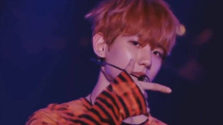 【EXO】هذه هي الأغنية التي قال المغني الأصلي إنها بلا رقصات، وقد أثارت حماس الجمهور بالكامل