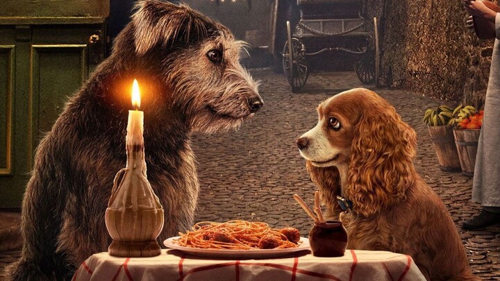 สปอยล์หนัง Lady and the Tramp ทรามวัยกับไอ้ตูบ Live Action