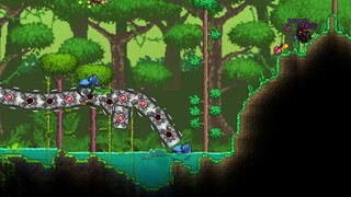 I have been playing Terra for 8 years and this is the first time I have seen such an outrageous bug.
