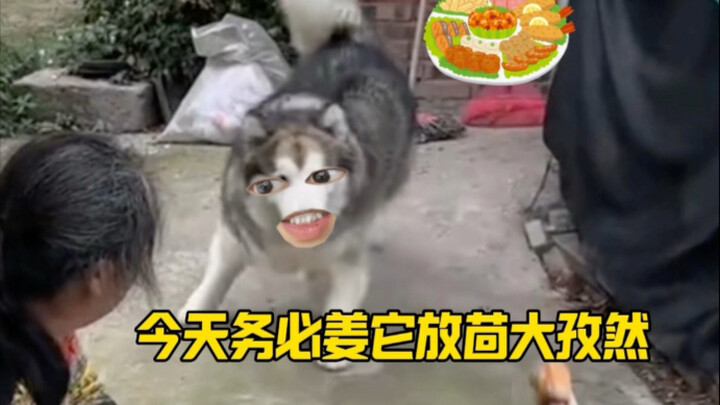 《姜它放茴孜然》