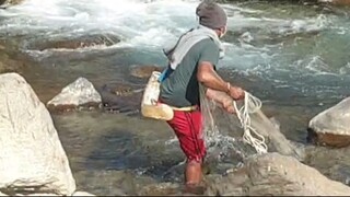 cast net fishing in Nepal | cast netting | asala fishing | himalayan trout fishing |