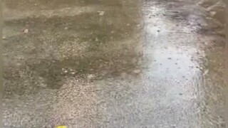 طفل متعلق أيضًا