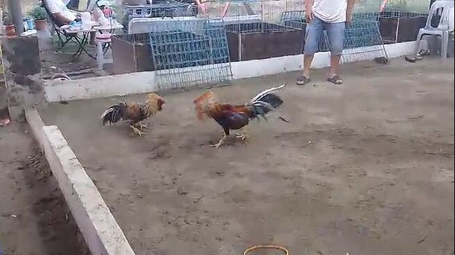 Dink Fair Sweater vs Bulik