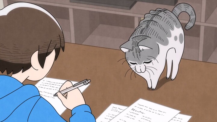 Meow Meow Sleepless Night 50 The cat adjusts its sitting position