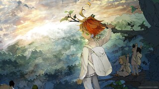 [Yakusoku no Neverland AMV/Ran Xiang] Bandel