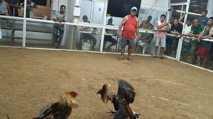 madiin ang palo