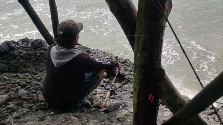 anak walang ngebolang di laut kidul  sangat mengenaskan