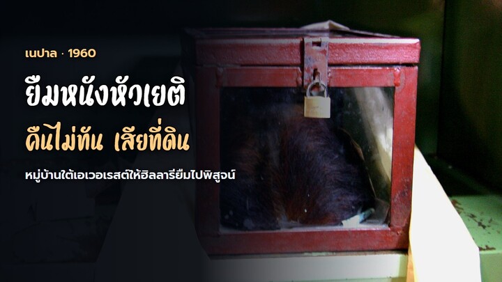 หมู่บ้านใต้เอเวอเรสต์ให้ฮิลลารียืมหนังหัวเยติ ถ้าคืนไม่ทัน เชอร์ปาสามคนจะเสียที่